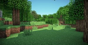 Minecraft written in java