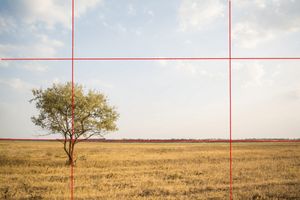 An example of the rule of thirds