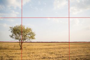 Photo illustrating the rule of thirds An example of the rule of thirds