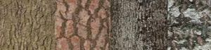 Bark textures